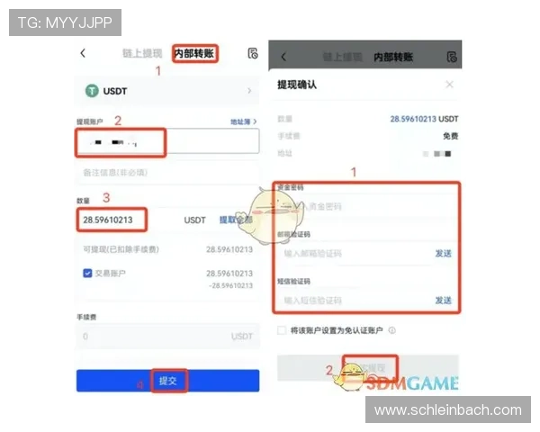 Bwin平台的支付方式多样化及快速提现操作流程