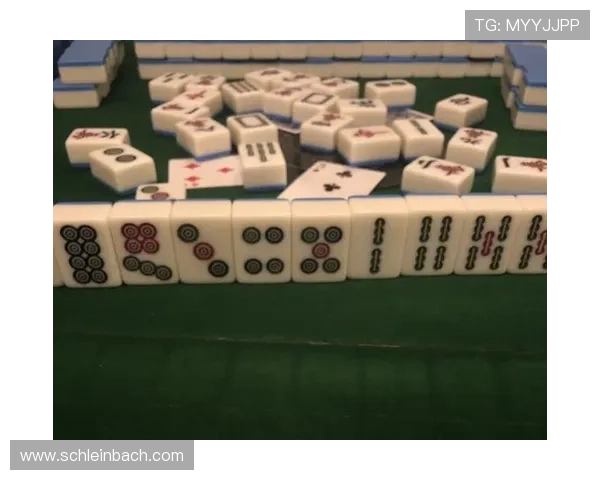 二八杠大小顺序图片全图展示及实战应用指南帮助玩家正确识别牌面大小顺序提升游戏体验