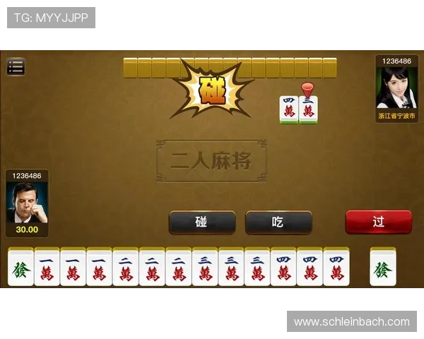 二人麻将真人版游戏最新版本更新内容，带来更真实的游戏体验