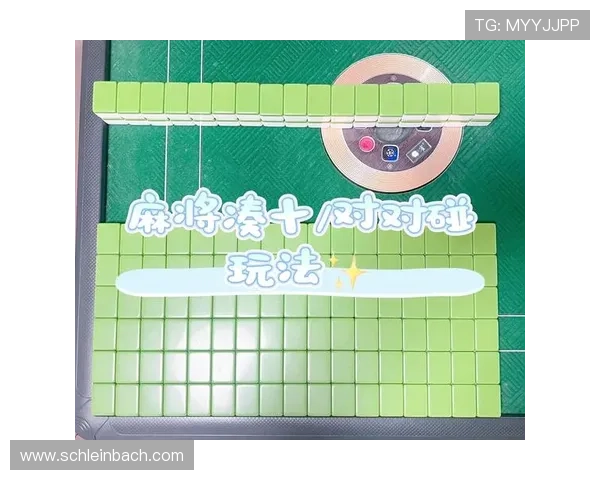 二人麻将小游戏免费版让你随时随地享受轻松休闲的双人麻将体验