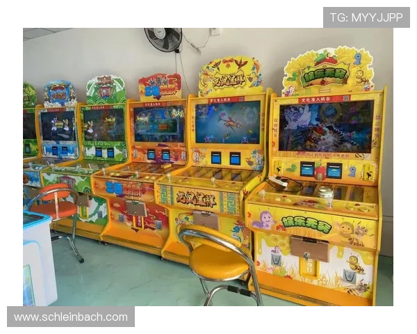 亚洲必赢电子娱乐平台安全可靠，提供丰富多样的游戏选择满足不同玩家需求