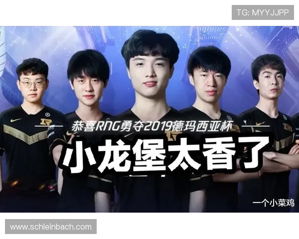 出龙和虎的玩法详解：掌握技巧提升你的对战胜率