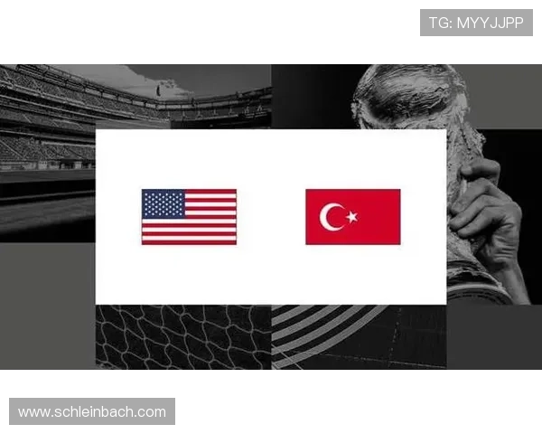 世界杯土耳其对阵美国比赛场地容量详细介绍及相关赛事信息分析